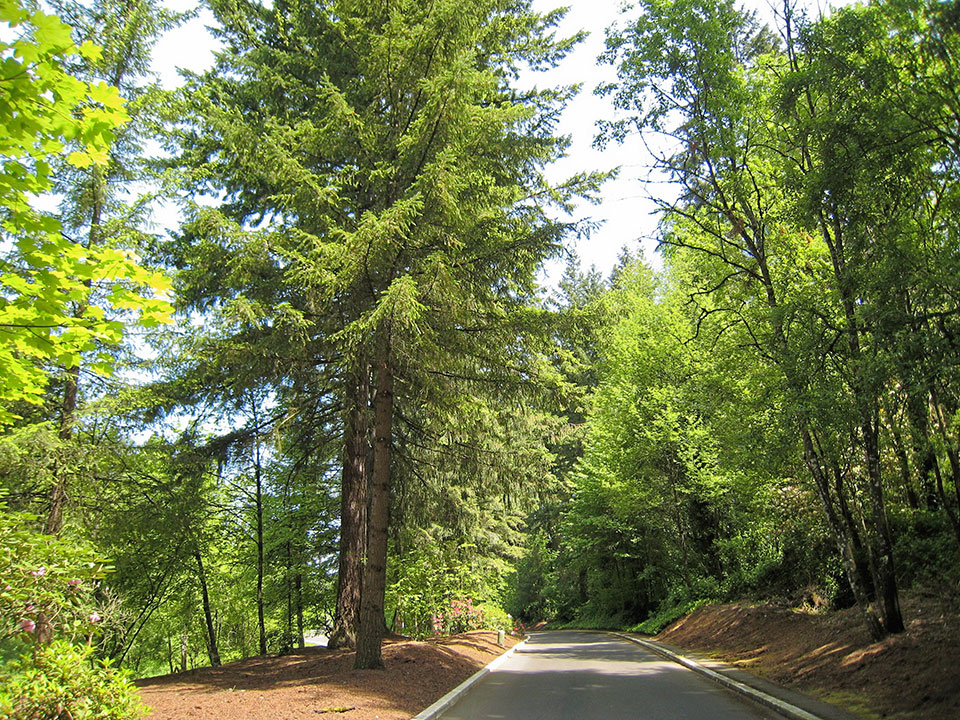 Heritage Village in Beaverton, OR Mobile Homes For Sale Affordable