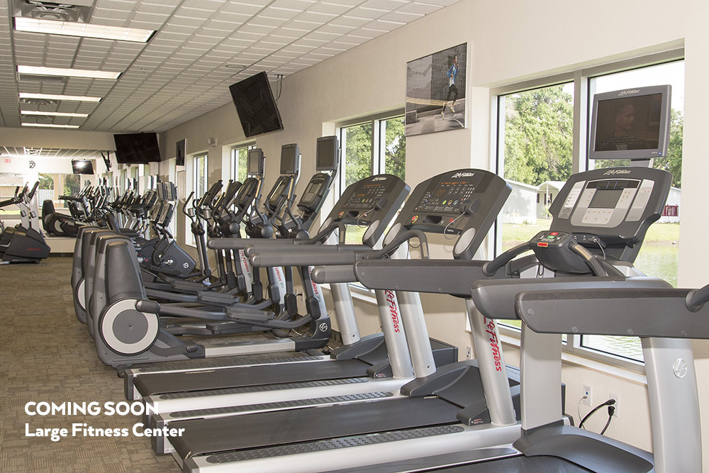 Naples Estates in Naples, FL Mobile Homes For Sale 55+ Retirement