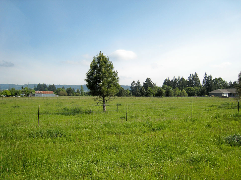 Springbrook Estates in Newberg, OR Mobile Homes For Sale Affordable Manufactured Homes With