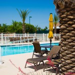 Luxury outdoor pool equipped with ample seating and tables with umbrellas. Well-maintained area with clean cut palm trees and nicely paved flooring.