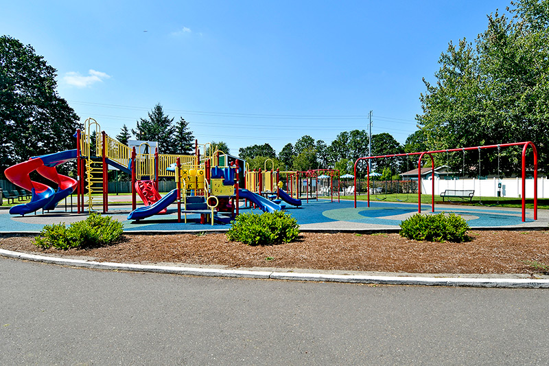 Large open playground area for both older and younger children with slides, swings, and jungle gym.