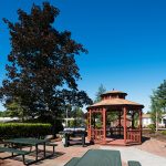 Barbeque and picnic area and benches. Wooden gazebo. Tall tree with dark purple leaves.