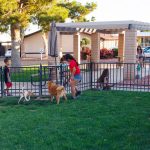 Glendale Cascade is pet friendly with a fenced in pet area. Dogs and cats run leash free while kids watch on and sit at the surrounding picnic tables with umbrellas. A mother talks with a little girl that is petting a cat. An older girl gets ready to skateboard