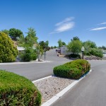 Maintained landscape with trimmed shrubs and tall green trees throughout the community. Wide, clean, paved streets.