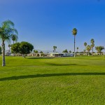 The well-maintained, green golf course with multiple palm trees surrounds the 55+ manufactured home community in sunny Southern CA.
