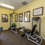 Fitness center with weight machines.