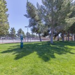 Grassy area for dogs to play. Next to tennis courts. Shady tall trees.
