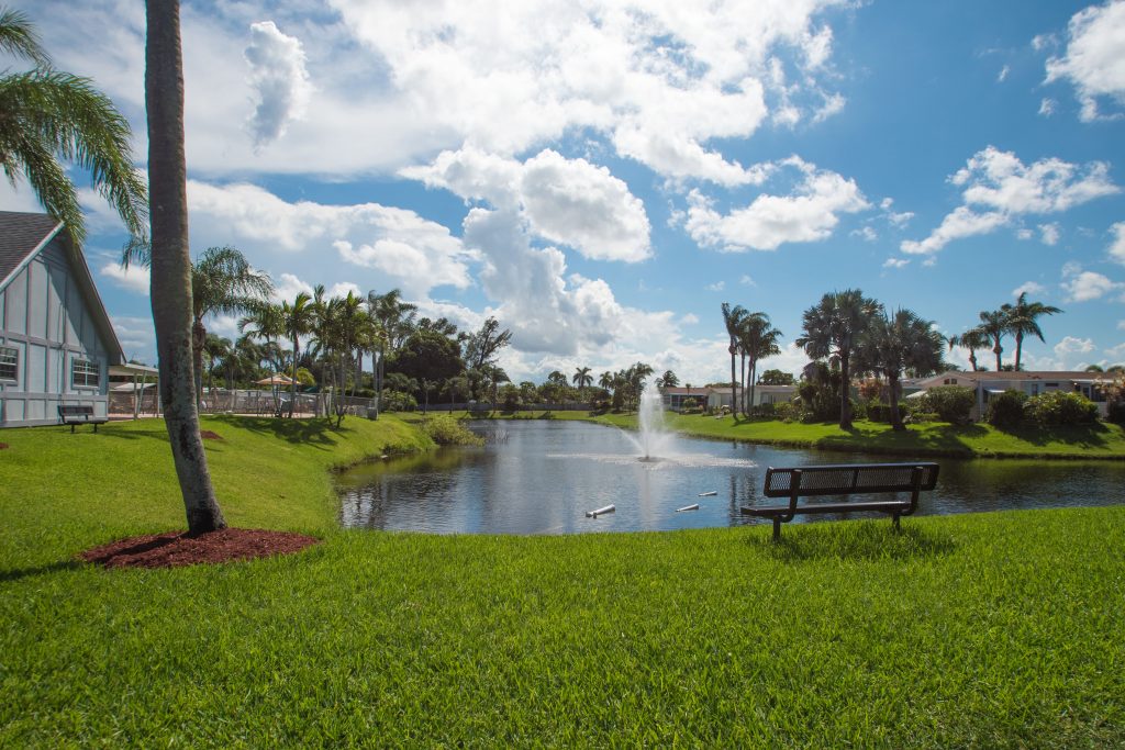 Beautiful, lush green grass surrounds the calm community lake. A fountain shoots off water in middle of lake. You can sit and gaze at the fountain from seating around the lake.