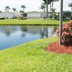 Palm Breezes Club, an active 55+ community, has manufactured homes that back up to the lake. Two iguanas sit near the waters edge.