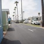 Beautiful entrance to the community with a palm tree divider and manufactured homes lining both sides of the streets.