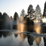 Pond with three small water fountains in middle shooting water up. Sun shines through trees onto water fountains.