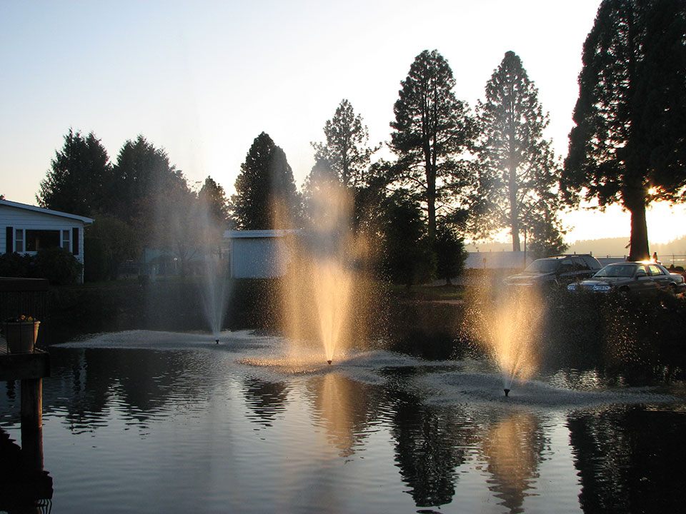 Pond with three small water fountains in middle shooting water up. Sun shines through trees onto water fountains.
