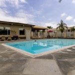 Beautiful outdoor pool with access to the community center. Open space available for residents to enjoy with family and friends.