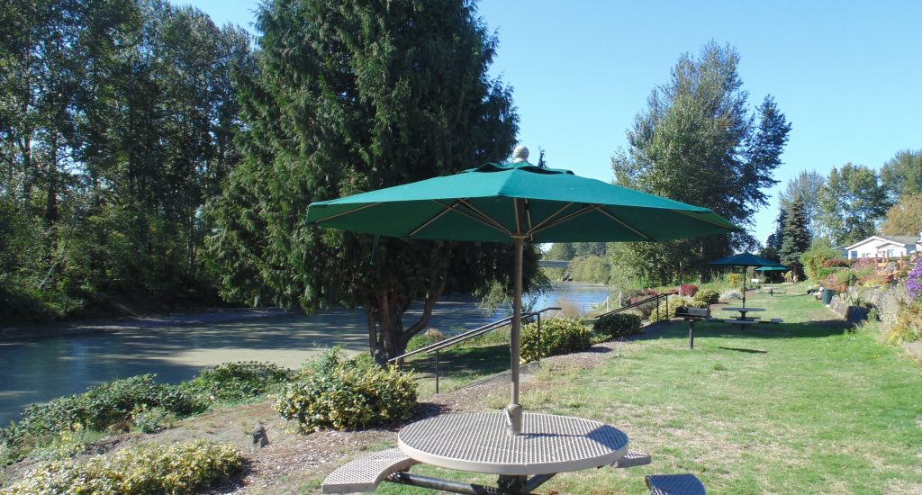 Waterfront grass area with picnic tables that overlook the Puyallup River.