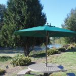 Waterfront grass area with picnic tables that overlook the Puyallup River.
