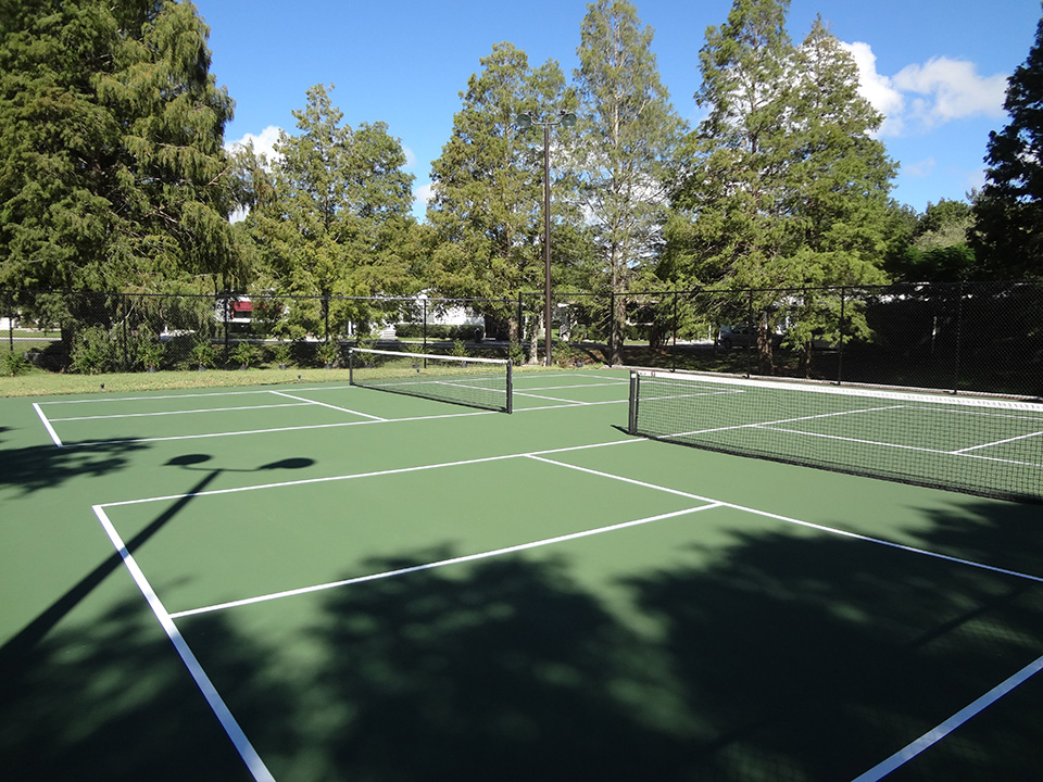 Two pickleball courts. Clean and quiet. Surrounded by lush tall trees.