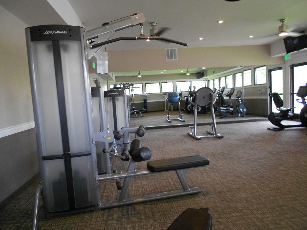 Remodeled gym with state of the art fitness equipment like weight machines and stationary bikes.