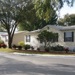 Wide clean paved streets and tall lush trees through out the community and with manufactured homes.