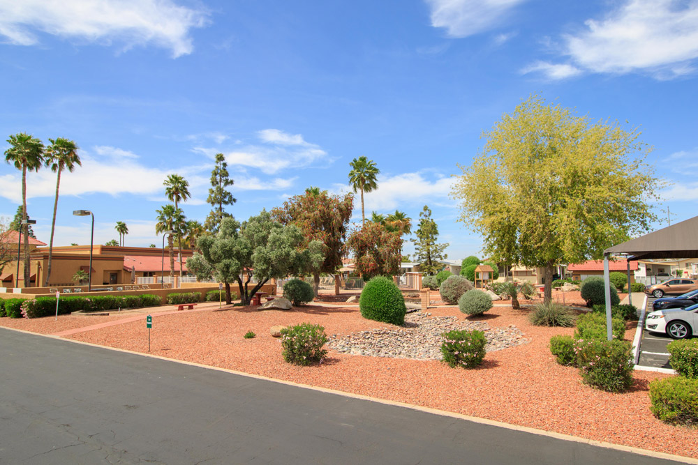 desert inspired landscape with red rocks arranged on the ground and shrubs growing throughout